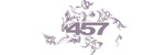 Logo redimensionné ar 457 horizontal